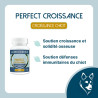 Perfect Croissance - Puppy development support - Lore & Science